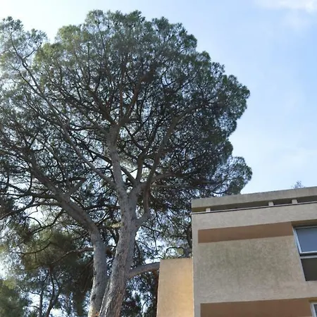 Studio De Charme Au Cap Brun Appartement